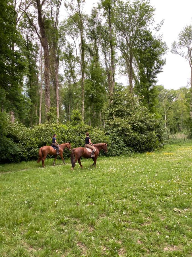 Le Moulin Bleu Bed & Breakfast Saint Cyr-sous-Dourdan Exterior photo